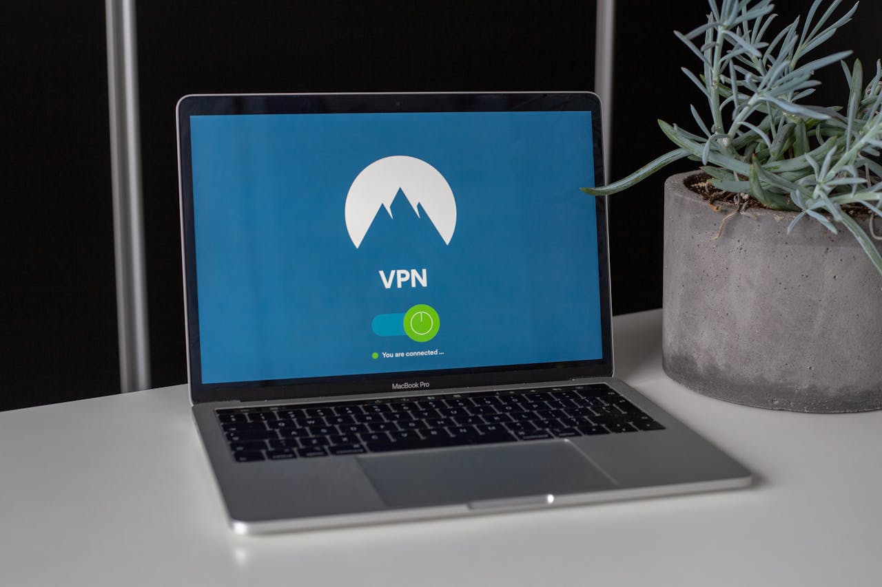 Laptop with VPN screen and a succulent plant on a desk, emphasizing online privacy and security.